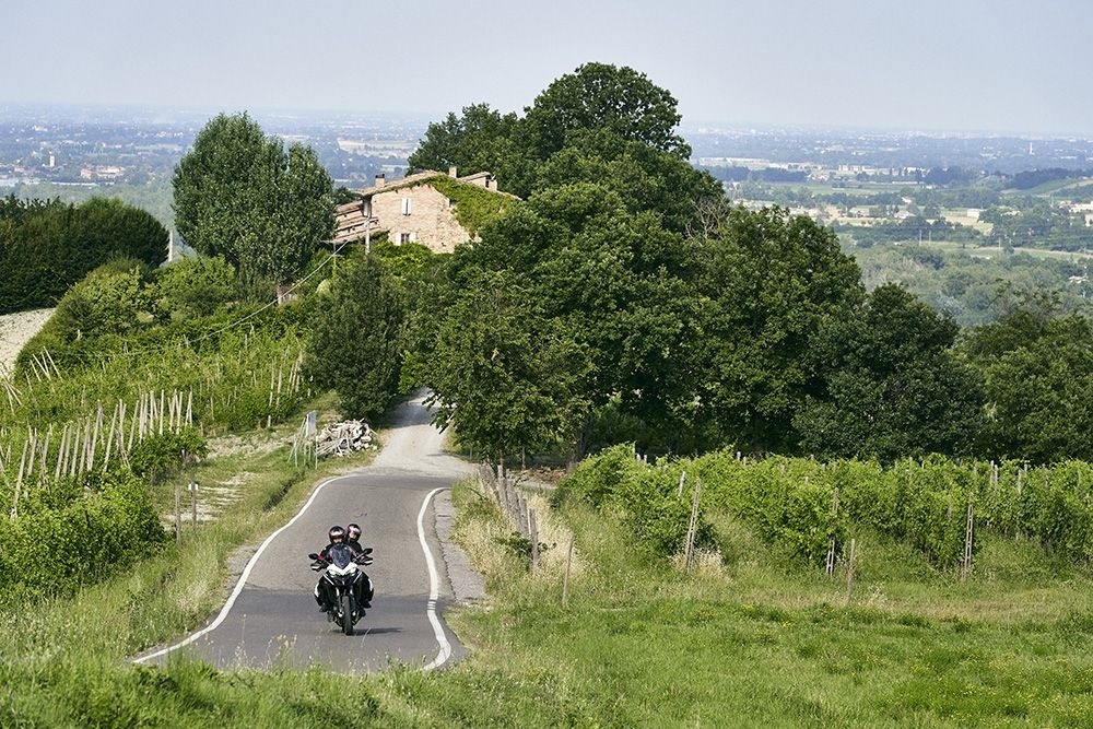 Мотоцикл Ducati Multistrada 950 S GP White 2021 (82 фото)