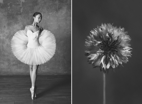 Чёрно-белый проект фотографа Юлии Артемьевой "Балерина и цветы" попал на страницы зарубежных изданий