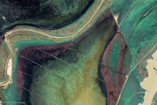 Все краски планеты: Google Earth показал новые удивительные снимки Земли 