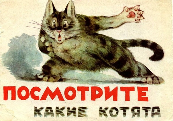 Советские назидательные картинки «Посмотрите, какие котята» Автop: Владимир Матвеев, 1965 г.