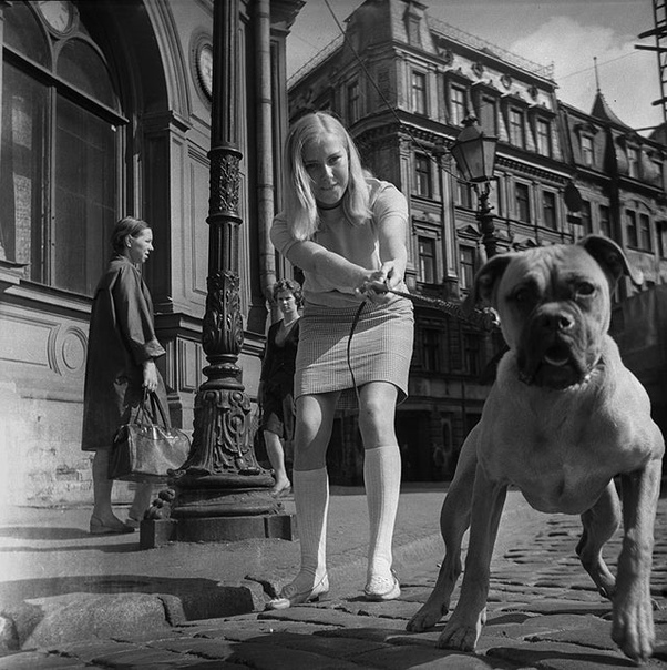 Фото дамы с собачкой. Рига, Латвия, 1974 год