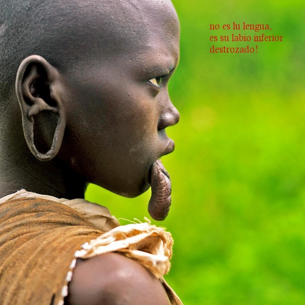 Факты из жизни племени мурси. Племя мурси считается самым агрессивным из всех племен находящихся на юге Эфиопии. Все туроператоры возящие туристов к мурси предупреждают, что к ним необходимо