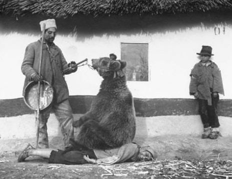 На фото: терапевтический сеанс лечения боли в спине при помощи медведя. Румыния. 1946 год.