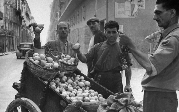 Сицилийская мафия и рынок лимонов история с кислыми параллелями для современных потребителей История возникновения мафии на Сицилии XIX века показывает, как смешивание ценных ресурсов и слабых