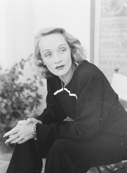 Портрет Марлен Дитрих Фотограф Луиза Даль-Вульф. 1939 год