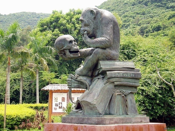 Памятник шимпанзе, который сидит на трудах Дарвина. Находится в Китае, на острове обезьян Хайнянь.