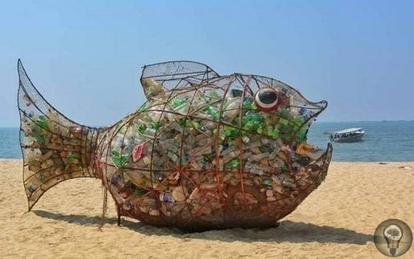 Гигантская рыбка Йоши  уникальная «игрушка», которая удивительным образом поддерживает чистоту на индийском пляже