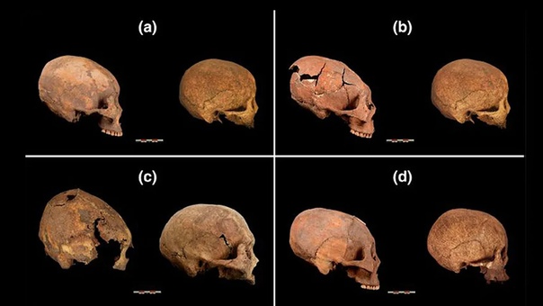В Китае найдены необычные черепа возрастом 12 000 лет
