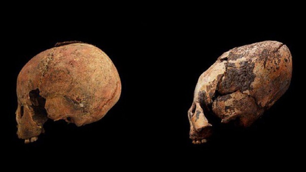 В Китае найдены необычные черепа возрастом 12 000 лет Китайские ученые завершили изучение останков народности «хоутаомуга»(Houtaomuga), найденных в Цзилине. Они определили, что возраст самого
