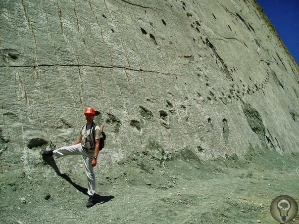 Скала динозавров или Кэл Орко Это место с самым крупным в мире скоплением следов динозавров На окраине города Сукре, Боливия, находится крупный цементный завод. Когда в 1985 году карьер по