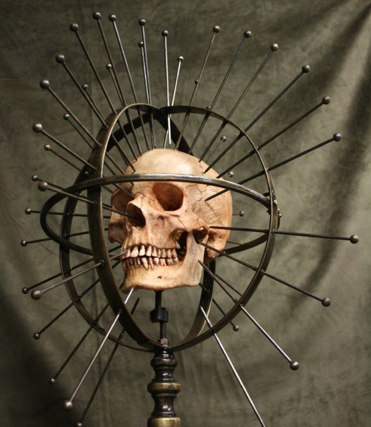 Краниометр антропологический инструмент, применяемый для измерения размеров черепа Создан в XIX веке Полем