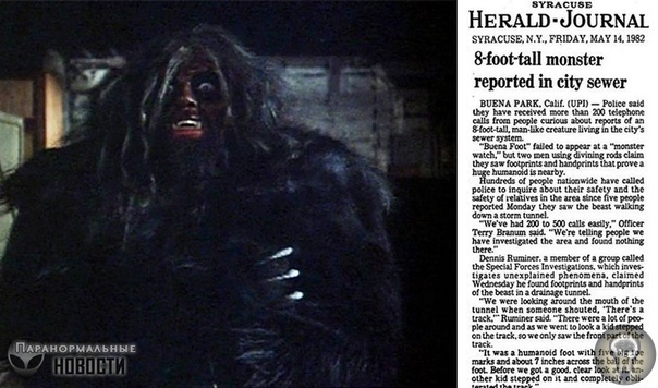 Огромный человекоподобный монстр из канализации Странная заметка была опубликована 14 мая 1982 года в нью-йоркской газете Herald Journal. Заголовок ее гласил: 8-футового монстра видели в