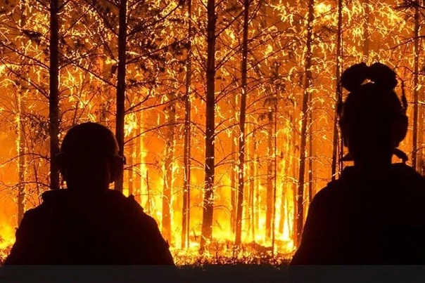 Почему не тушат лесные пожары в Сибири В Красноярском крае, Иркутской области, Бурятии, Забайкалье и Якутии продолжают гореть миллионы гектаров леса. Решения не тушить огонь принимаются на
