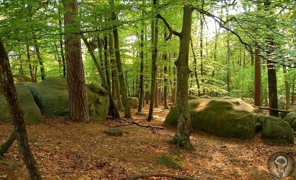 Следы загадочной древней цивилизации во Франции, в лесу Фонтенбло Лес Фонтенбло расположен примерно в 60 км к юго-востоку от Парижа. Он имеет площадь 280 км² и является одним из самых больших и
