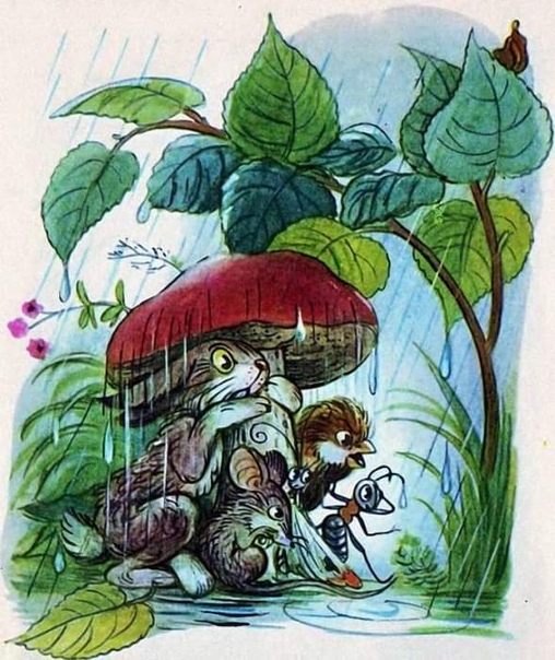 Иллюстрации Владимира Григорьевича Сутеева Владимир Григорьевич Сутеев родился 5 июля 1903 года в Москве. Профессиональную деятельность он начинал как художник-мультипликатор. На студии