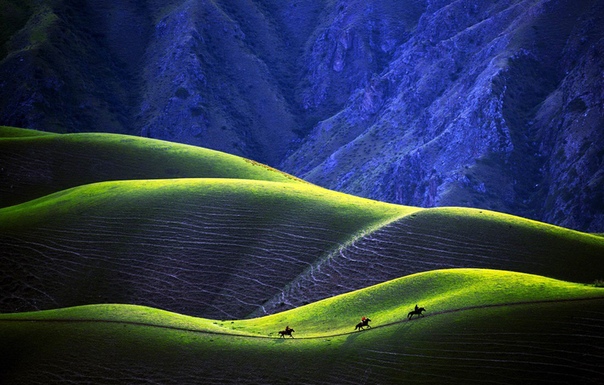 Чудесная абрикосовая долина Йили в провинции Синьцзян, Китай. 