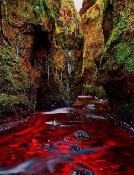 Финнич Глен место в Шотландии с кроваво-красной водой, пещерой и водопадами Шотландия одно из самых известных мест по количеству интересных и таинственных достопримечательностей. Для того чтобы