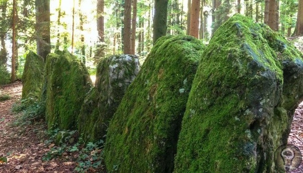 Мегалиты Швейцарии Эти странные камни тайна, уходящая корнями вглубь времен. Они будят воображение, привлекая к себе внимание ученых, романтиков и шарлатанов. А знаете ли вы, что Швейцария