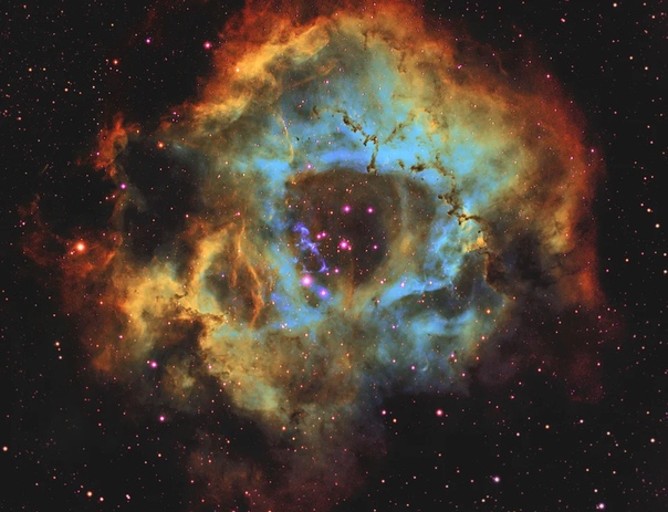 Туманность Розетка Туманность Розетка, которая включает в себя NGC 2237, NGC 2238, NGC 2239, NGC 2244, NGC 2246, Caldwell 49 и Caldwell 50, является эмиссионной туманностью и открытым кластерным