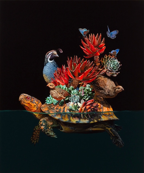 Гиперреализм: Вымышленная морская среда Художник, иллюстратор и дизайнер Лиза Эриксон (Lisa Ericson) создает гиперреалистичные образы воображаемых животных, рыб, различных гибридов, которые