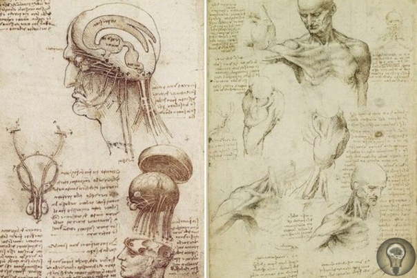 Тайны Лестерского кодекса Все, что связано с именем великого итальянского художника Леонардо да Винчи, всегда вызывало в обществе огромный интерес. К примеру, одну из его тетрадей с записями -