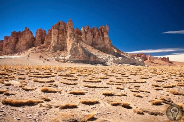 10 неразгаданных тайн пустынь, которые предстоит разгадать человечеству Казалось бы, что интересного может быть в бескрайней пустыне. Но на самом деле именно среди бескрайних песков кроются