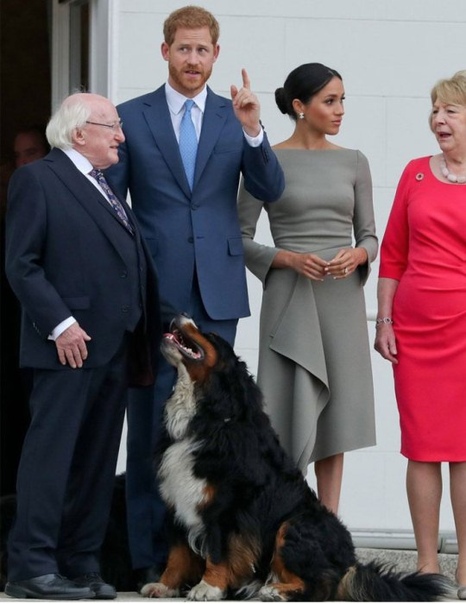 10 фотографий президента Ирландии, которые доказывают, что он самый душевный глава государства в мире Отношение к президентам в каждое стране разное. Где-то ради кортежа главы государства на