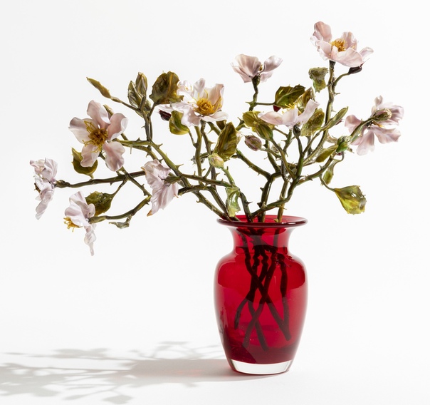 Лилла Табассо создает цветы из стекла Дизайнер из Милана Лилла Табассо использует муранское стекло для декоративных скульптур в виде композиций из цветов. Образование биолога и невероятное