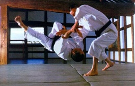 СЁРИНДЗИ КЭМПО. Философы с кулаками Япония славится всевозможными боевыми искусствами, и даже в России каждому известны айкидо, дзюдо и карате. Во время пребывания в Японии довелось столкнуться