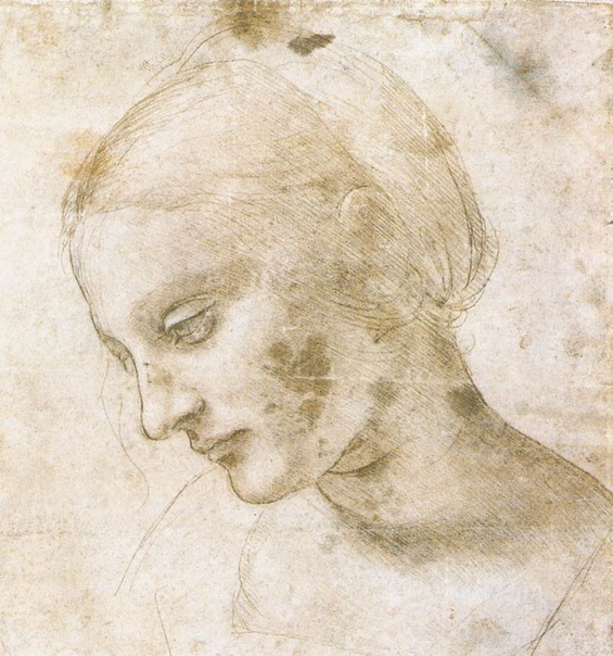 ПРИКЛЮЧЕНИЯ ДА ВИНЧИ В РОССИИ Считается, что сохранилось около 15 картин, написанных Леонардо да Винчи (помимо фресок и рисунков). Пять из них хранятся в Лувре, по одной в Уффици (Флоренция),