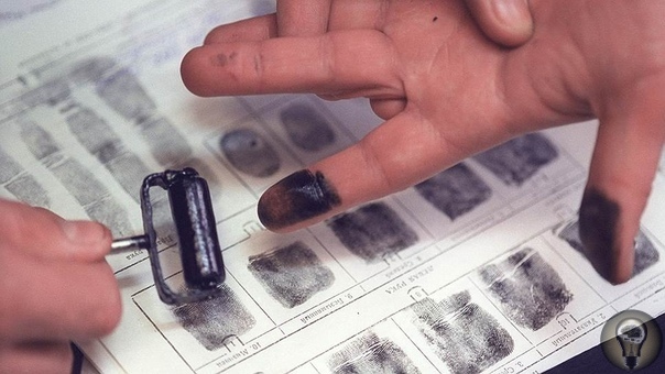 На кончиках пальцев. Дактилоскопия Дактилоскопия (с греческого смотрю на палец) широко применяется в криминалистических исследования для поиска и опознания вовлеченных в преступление лиц. Она