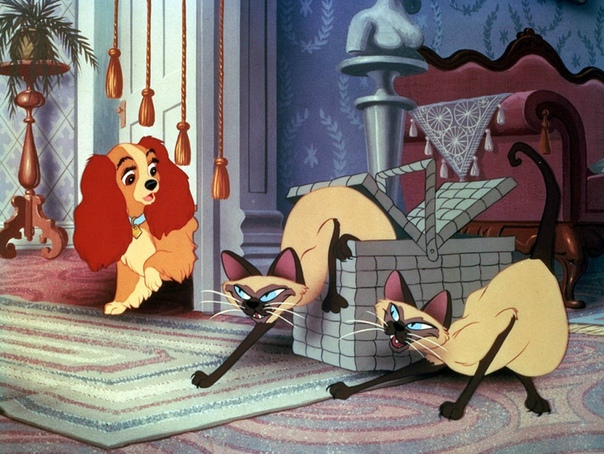 Disney стал предупреждать о расизме в «Леди и Бродяге» и «Книге джунглей» Мультфильм 1955 года «Леди и Бродяга» ранее подвергался критике за песню сиамских кошек Си и Ам, которая воплощала