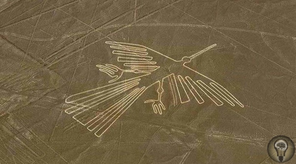 Новое исследование изображений птиц на таинственных линиях Наска в Перу Серия огромных геоглифов запечатленных на плато в перуанской пустыни, протянувшемся более чем на 50 километров с севера на