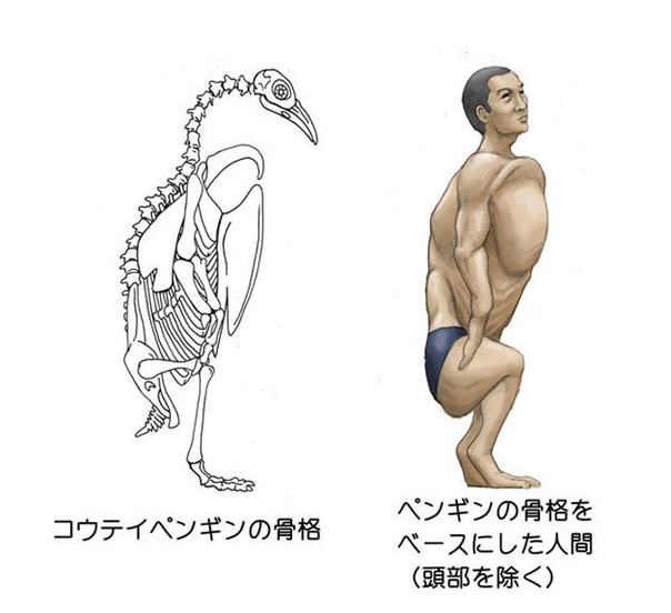 Как бы выглядели люди, если бы наши скелеты были бы как у животных Как бы выглядел человек с панцирем черепахи или с ногами фламинго Такие фантазии оживают в руках японского художника Сатоши